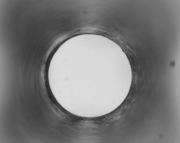 X0000116820244201001151211