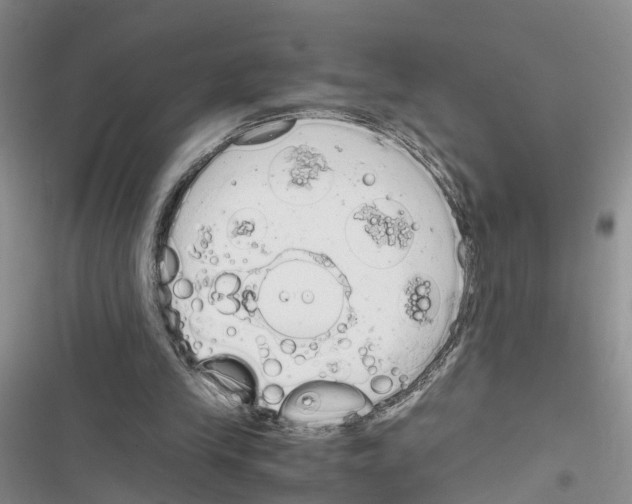 X0000116820245201001151211