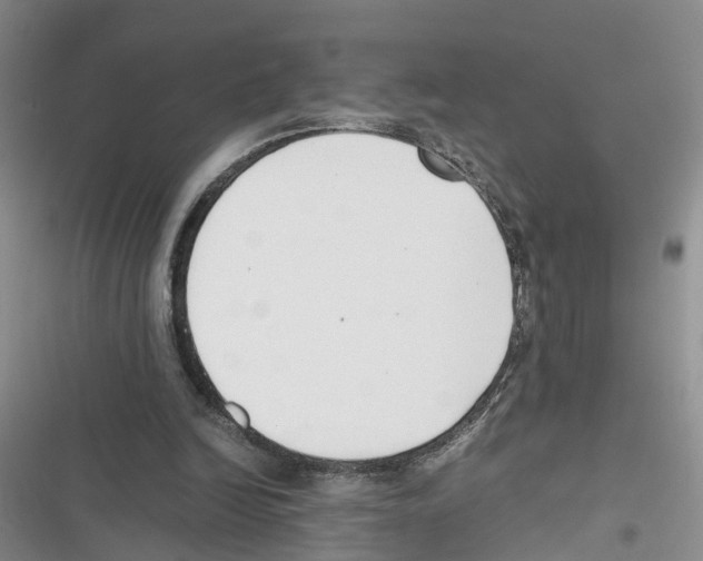 X0000116820246201001151211