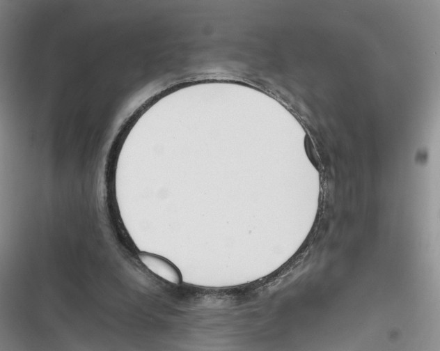 X0000116820248201001151211