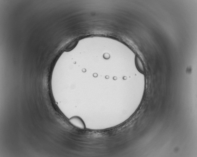 X0000116820249201001151211