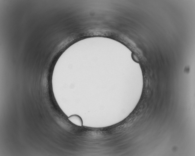 X0000116820250201001151211