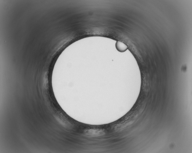 X0000116820251201001151211