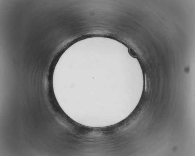 X0000116820252201001151211