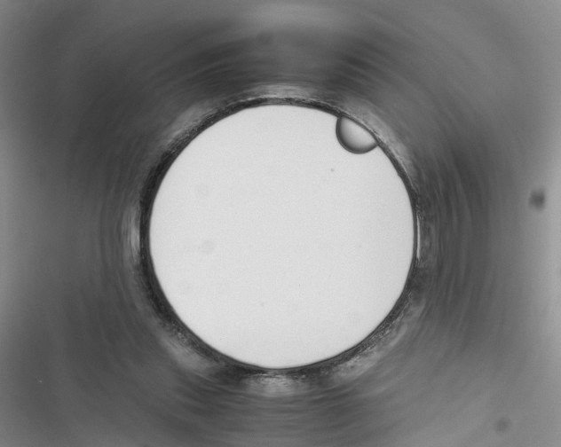 X0000116820253201001151211