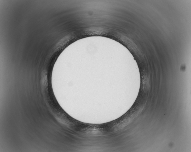 X0000116820254201001151211