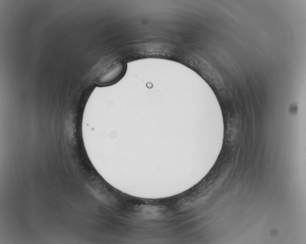 X0000116820255201001151211