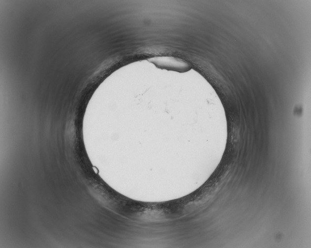 X0000116820256201001151211