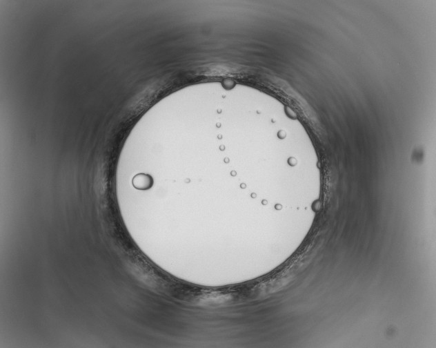 X0000116820257201001151211