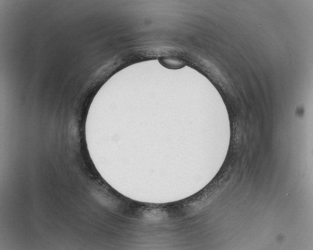 X0000116820258201001151211