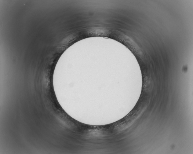 X0000116820259201001151211