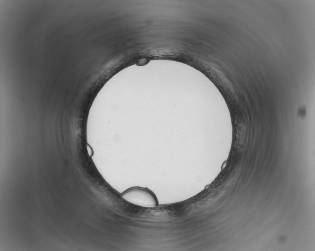 X0000116820260201001151211