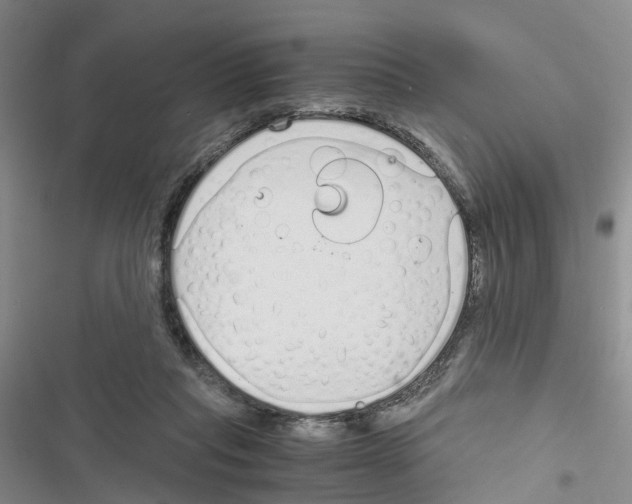 X0000116820261201001151211