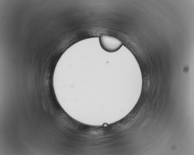 X0000116820263201001151211