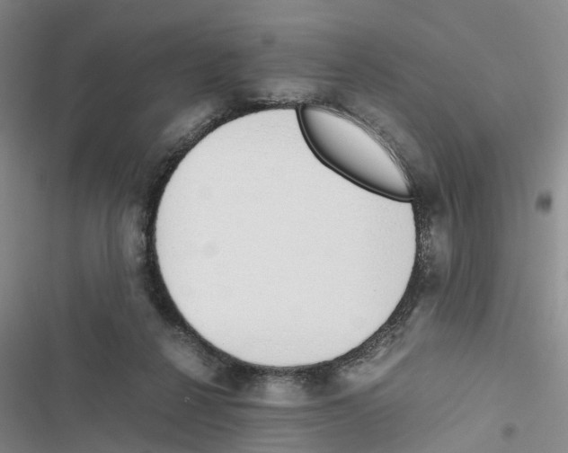 X0000116820264201001151211