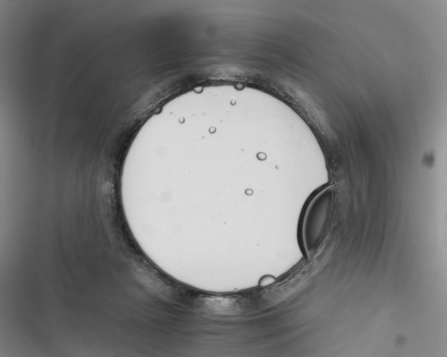 X0000116820265201001151211