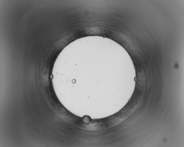 X0000116820267201001151211