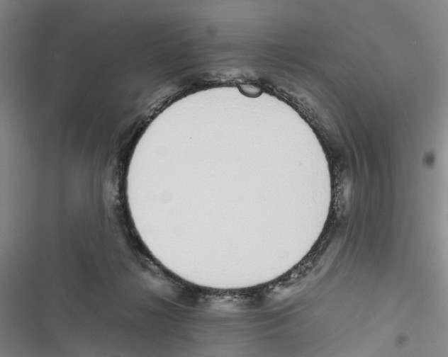 X0000116820268201001151211