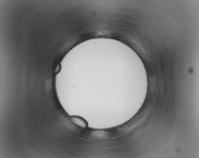 X0000116820269201001151211