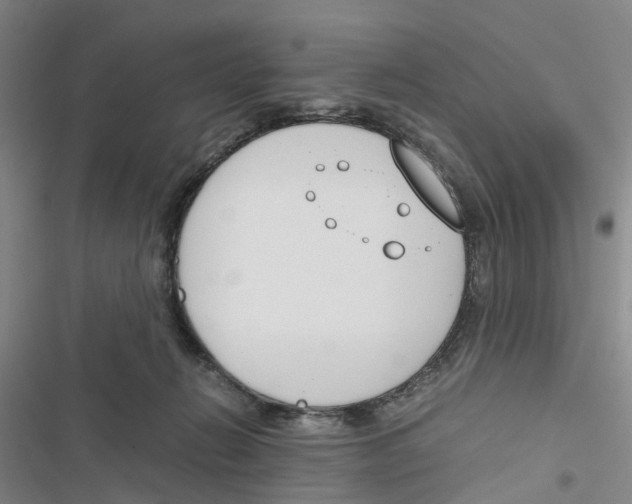 X0000116820270201001151211