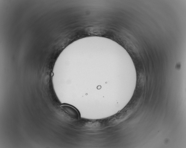 X0000116820271201001151211