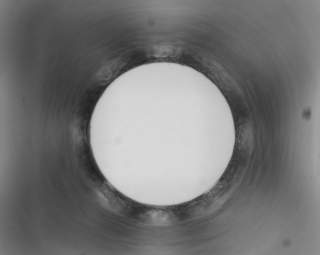 X0000116820272201001151211