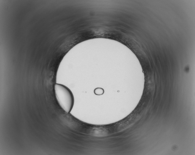 X0000116820275201001151211