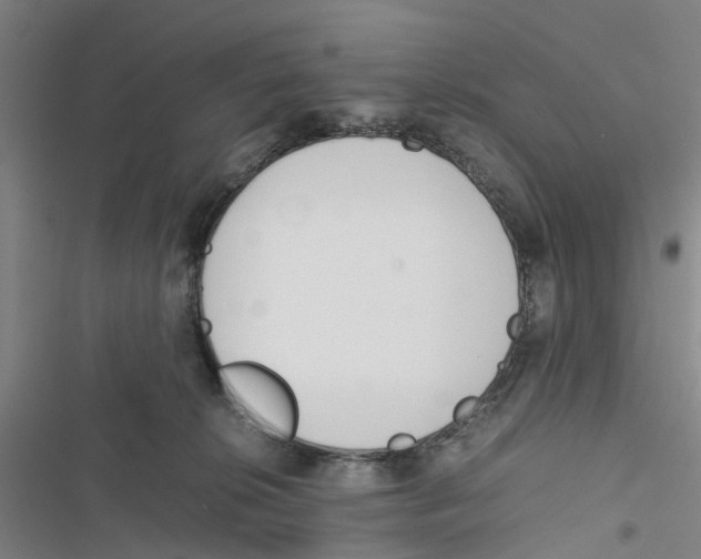 X0000116820276201001151211