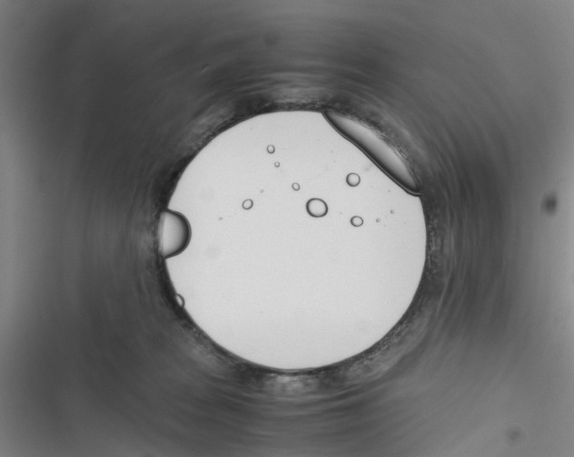 X0000116820277201001151211