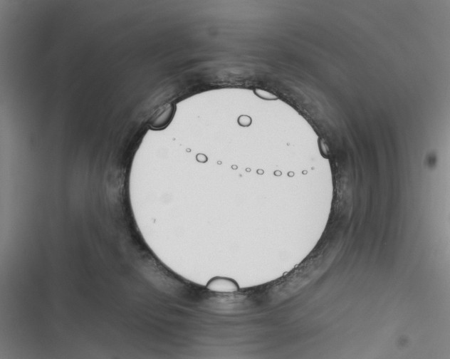 X0000116820278201001151211