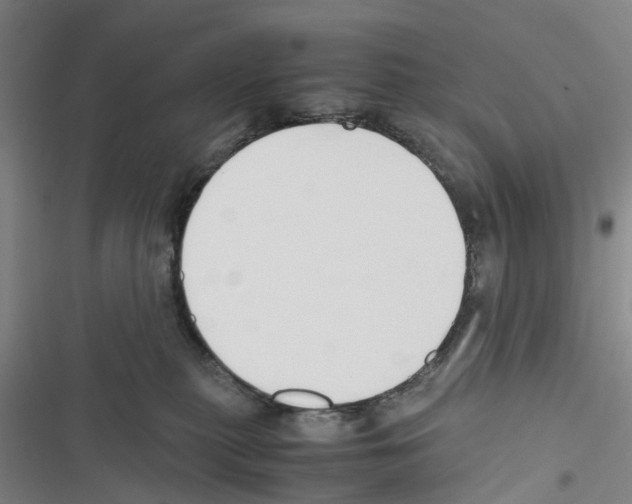 X0000116820279201001151211