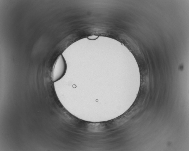 X0000116820281201001151211