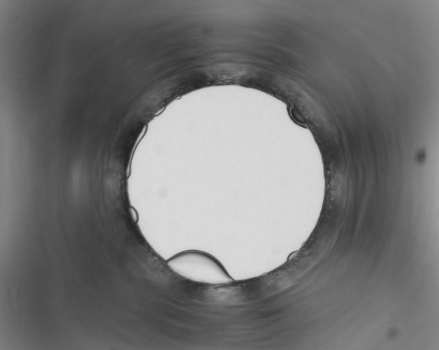 X0000116820283201001151211