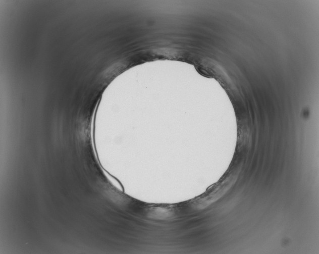 X0000116820285201001151211