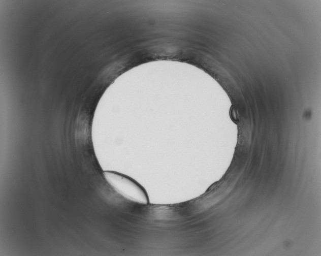 X0000116820287201001151211