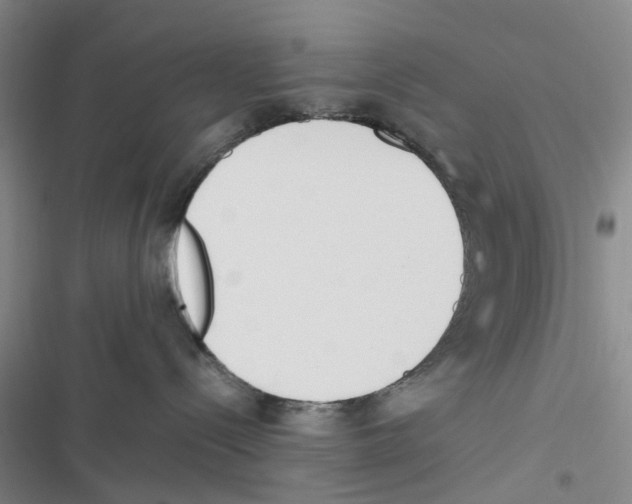 X0000116820288201001151211