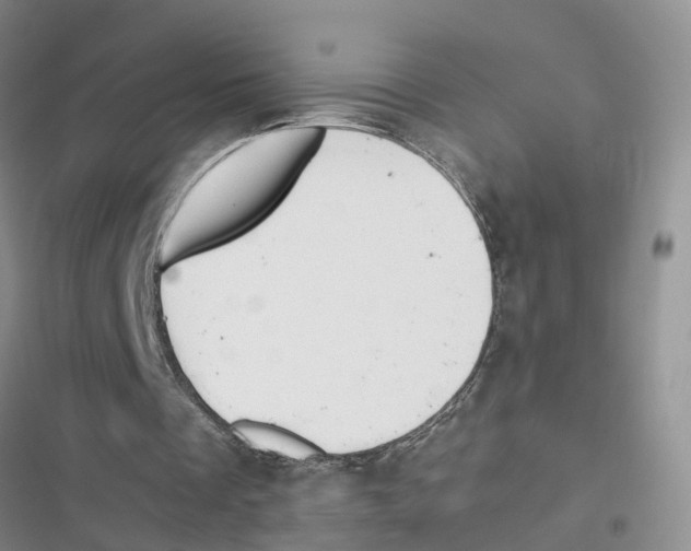 X0000116820289201001151211