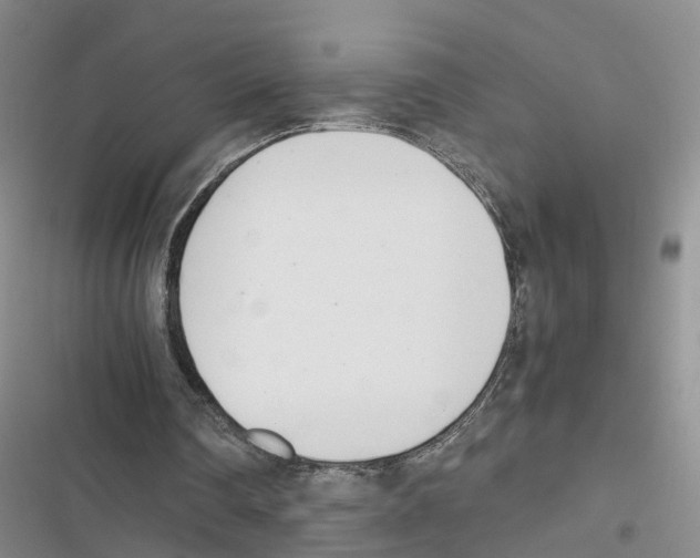 X0000116820290201001151211