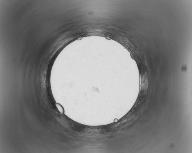 X0000116820291201001151211