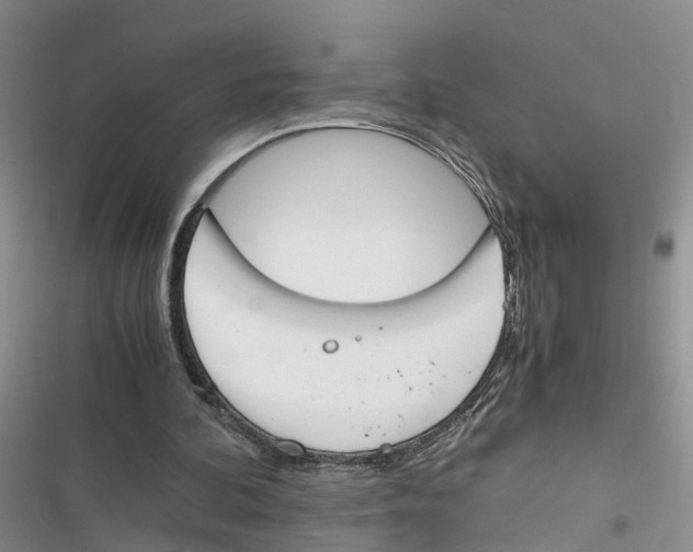 X0000116820292201001151211