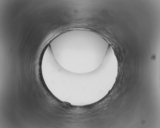 X0000116820293201001151211