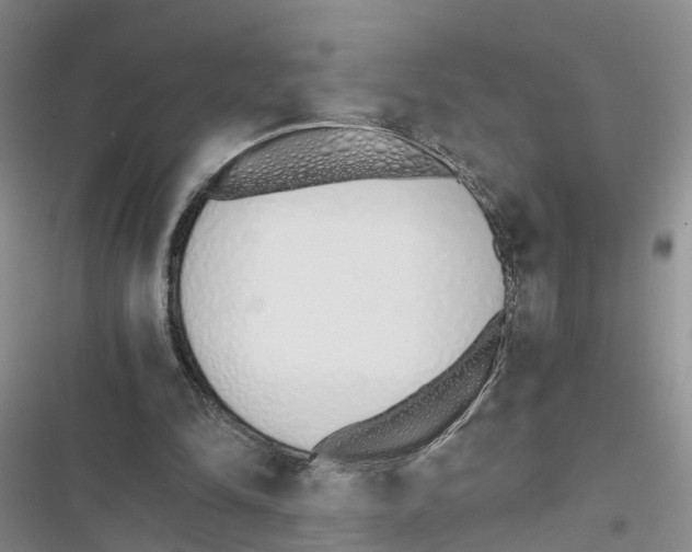 X0000116820294201001151211