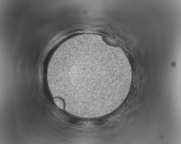 X0000116820295201001151211