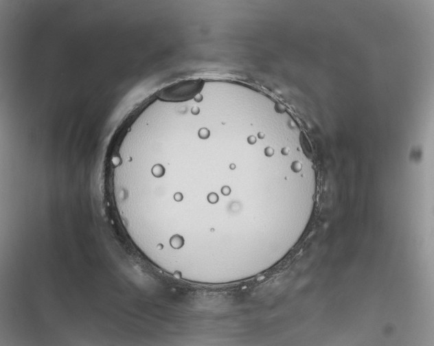 X0000116820296201001151211