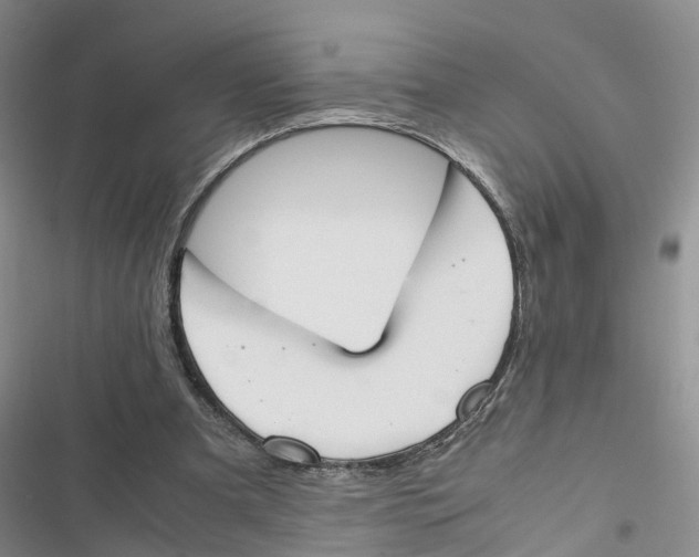 X0000116820297201001151211