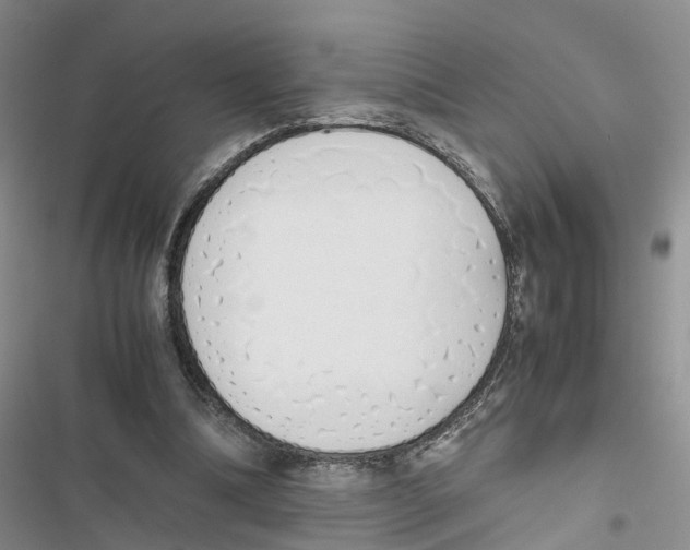 X0000116820298201001151211