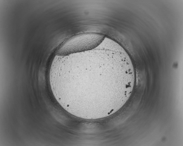 X0000116820300201001151210