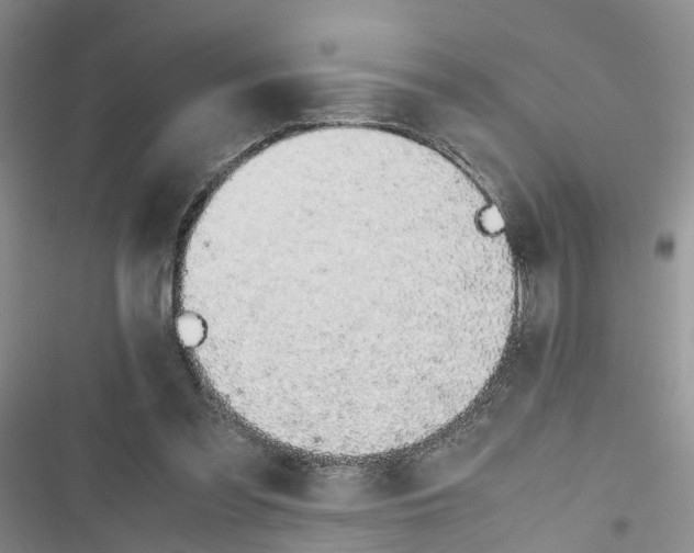 X0000116820301201001151210