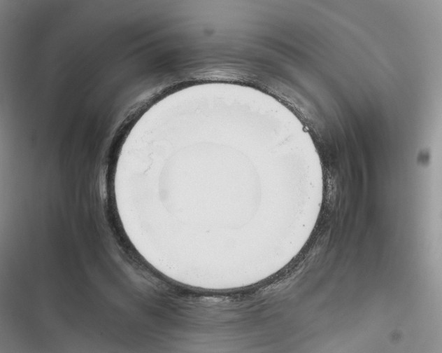 X0000116820302201001151210