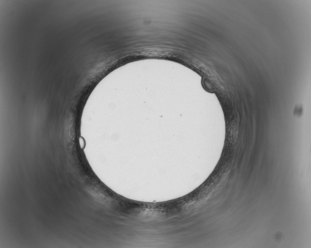 X0000116820303201001151210